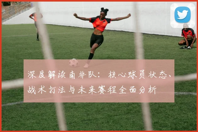 深度解读南非队：核心球员状态、战术打法与未来赛程全面分析